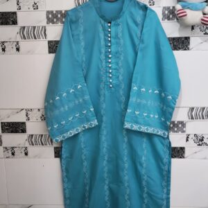 Turquoise Embroidered Kurta with White Detailing